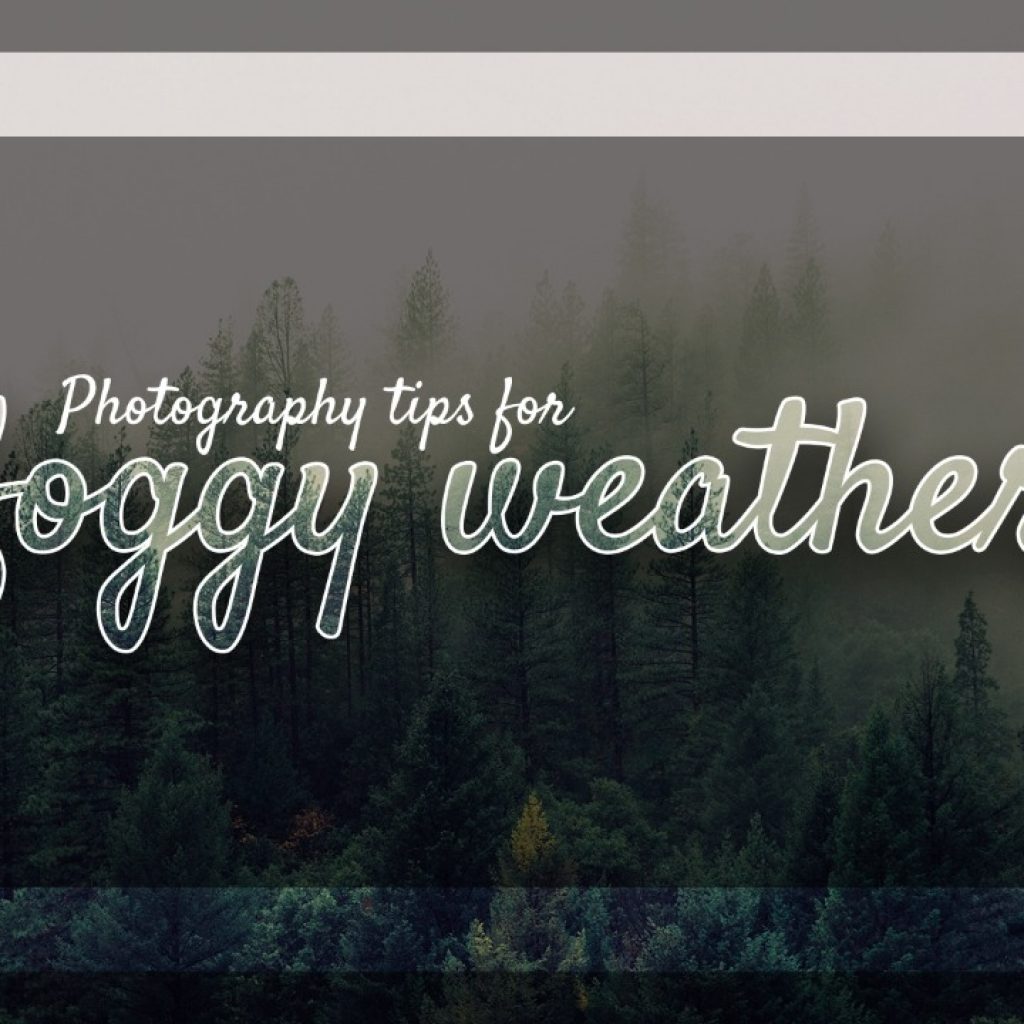 Photography tips for foggy weather