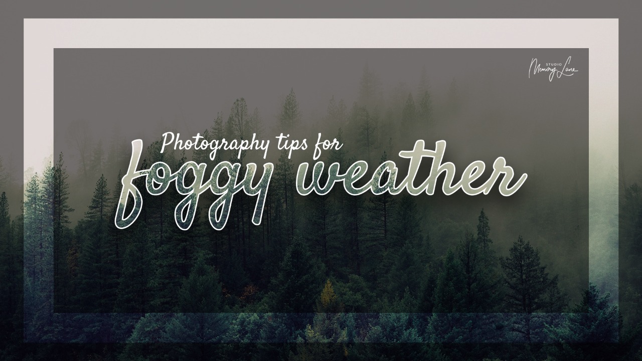 Photography tips for foggy weather!