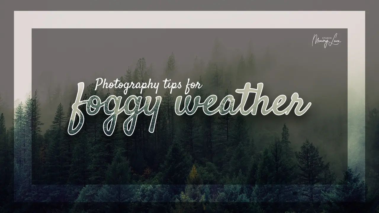 Photography tips for foggy weather